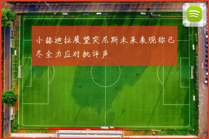 小赫迪拉展望突尼斯未来表现称已尽全力应对批评声