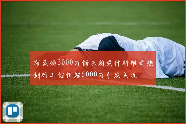 布莱顿3000万镑求购武什科维奇热刺对其估值超6000万引发关注